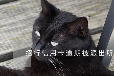 招行信用卡逾期被派出所传唤