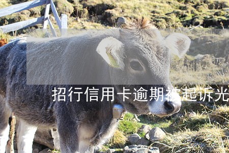 招行信用卡逾期被起诉光大 招行信用卡逾期被起诉光大