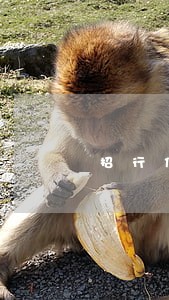 招行信用卡逾期要一次结清 招行信用卡逾期要一次结清