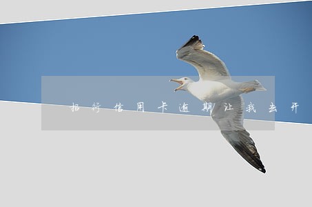 招行信用卡逾期让我去开户行