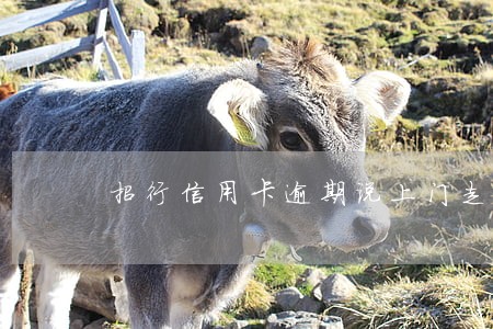 招行信用卡逾期说上门走访 招行信用卡逾期说上门走访