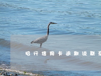 招行信用卡逾期说联系不上 招行信用卡逾期说联系不上