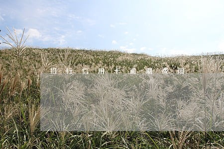 招行信用卡逾期费用 招行信用卡逾期费用