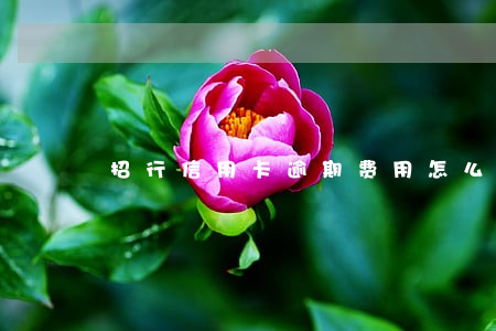 招行信用卡逾期费用怎么计算 招行信用卡逾期费用怎么计算