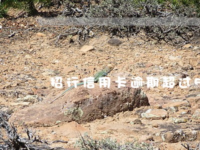 招行信用卡逾期超过5w