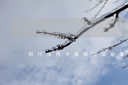 招行信用卡逾期过还能重新申请吗 招行信用卡逾期过还能重新申请吗