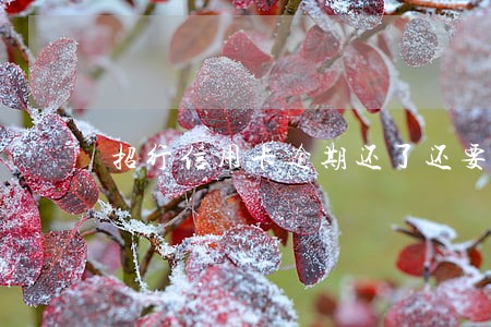 招行信用卡逾期还了还要额度 招行信用卡逾期还了还要额度