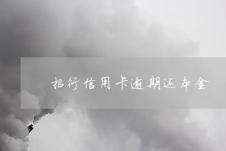 招行信用卡逾期还本金