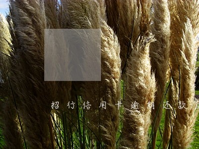 招行信用卡逾期还款后冻结 招行信用卡逾期还款后冻结