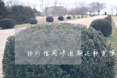招行信用卡逾期还款宽限期 招行信用卡逾期还款宽限期