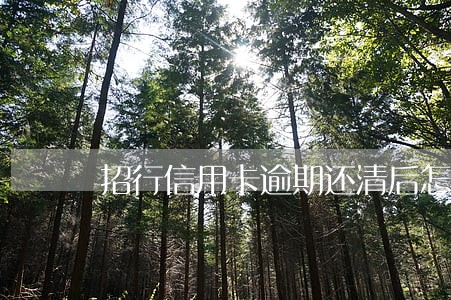 招行信用卡逾期还清后怎么恢复 招行信用卡逾期还清后怎么恢复