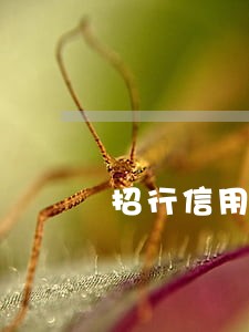 招行信用卡逾期还清还能用吗 招行信用卡逾期还清还能用吗