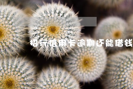 招行信用卡逾期还能借钱吗