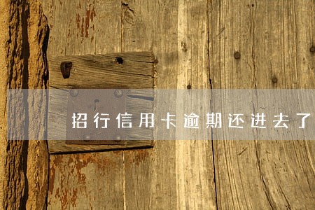 招行信用卡逾期还进去了