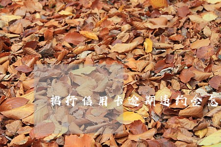 招行信用卡逾期违约金怎么减免 招行信用卡逾期违约金怎么减免