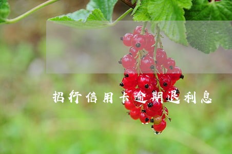 招行信用卡逾期退利息 招行信用卡逾期退利息