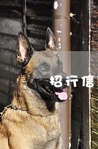 招行信用卡逾期通知诉讼 招行信用卡逾期通知诉讼