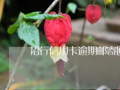 招行信用卡逾期邮寄回复模板