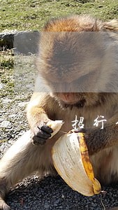 招行信用卡逾期量 招行信用卡逾期量