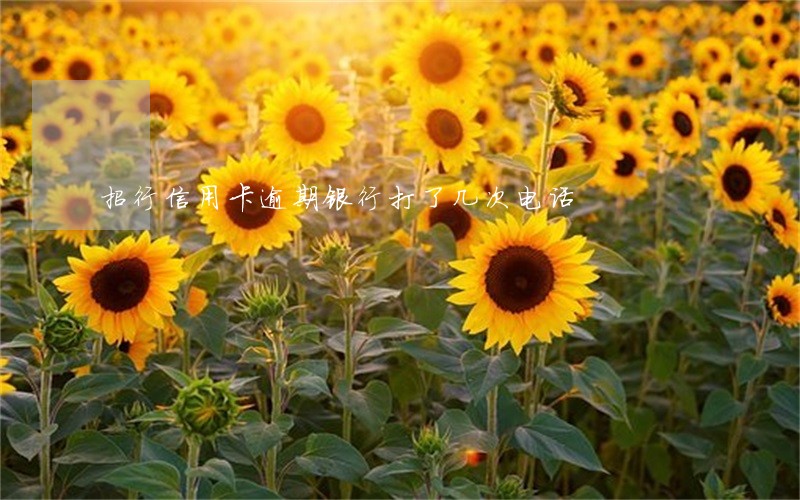 招行信用卡逾期银行打了几次电话 招行信用卡逾期银行打了几次电话