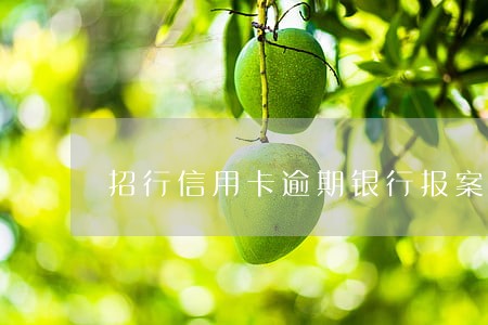 招行信用卡逾期银行报案 招行信用卡逾期银行报案