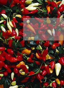 招行信用卡逾期限制用卡 招行信用卡逾期限制用卡