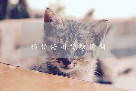 招行信用贷款逾期 招行信用贷款逾期