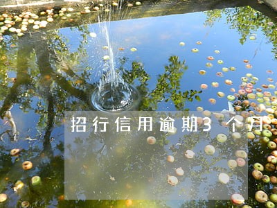 招行信用逾期3个月 招行信用逾期3个月