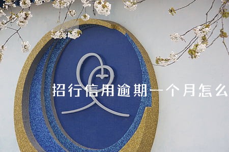 招行信用逾期一个月怎么办