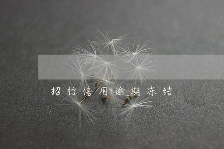 招行信用逾期冻结