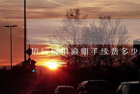 招行信用逾期手续费多少 招行信用逾期手续费多少