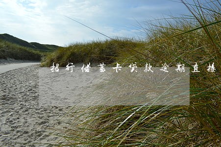 招行储蓄卡贷款逾期直接扣款 招行储蓄卡贷款逾期直接扣款