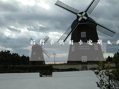 招行卡信用卡逾期五天