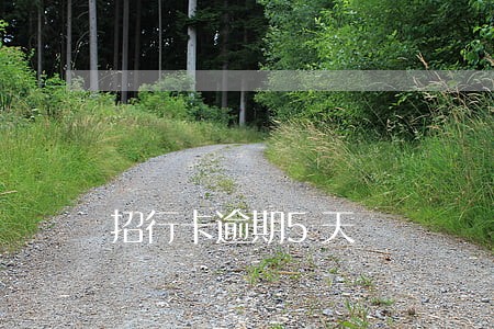 招行卡逾期5天 招行卡逾期5天