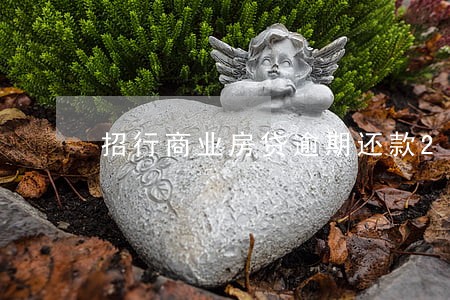招行商业房贷逾期还款2天 招行商业房贷逾期还款2天