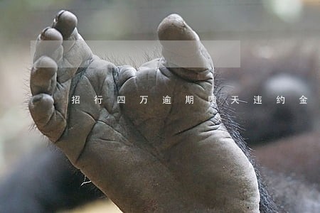 招行四万逾期四天违约金700 招行四万逾期四天违约金700
