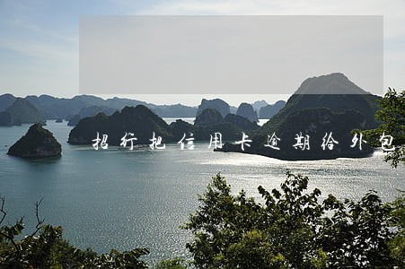 招行把信用卡逾期给外包公司