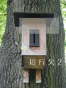 招行欠20万逾期 招行欠20万逾期
