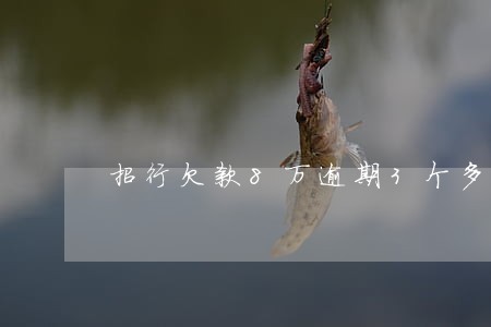 招行欠款8万逾期3个多月 招行欠款8万逾期3个多月