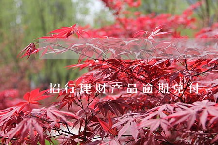 招行理财产品逾期兑付 招行理财产品逾期兑付