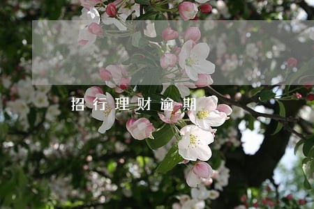 招行理财逾期 招行理财逾期