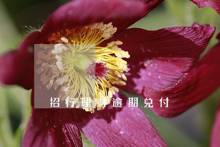 招行理财逾期兑付 招行理财逾期兑付