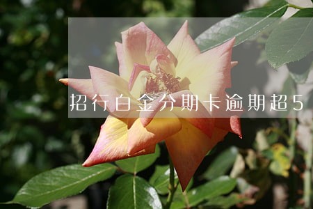 招行白金分期卡逾期超5万 招行白金分期卡逾期超5万