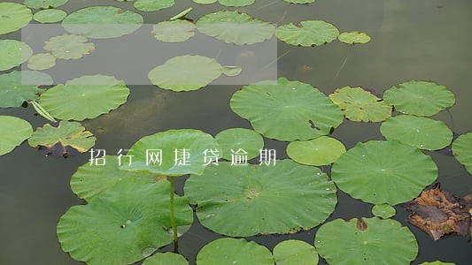 招行网捷贷逾期 招行网捷贷逾期