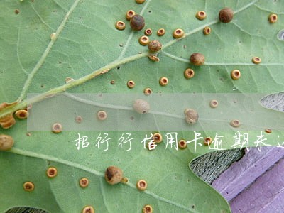 招行行信用卡逾期未还款 招行行信用卡逾期未还款