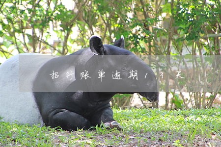 招行账单逾期13天