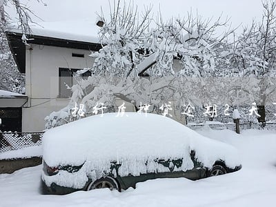 招行质押贷逾期2天了 招行质押贷逾期2天了