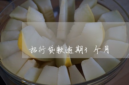 招行贷款逾期3个月 招行贷款逾期3个月