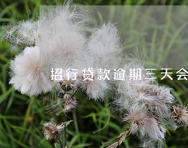 招行贷款逾期三天会被上报 招行贷款逾期三天会被上报