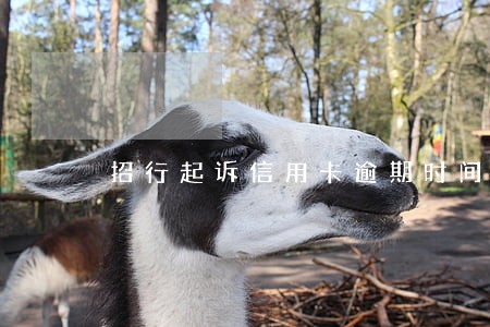 招行起诉信用卡逾期时间 招行起诉信用卡逾期时间